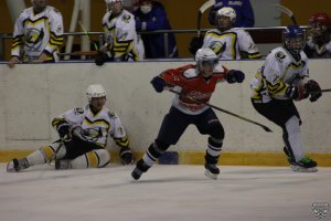 20.04.2022. Чемпионат Тюменской области по хоккею среди любительских команд 2 группа