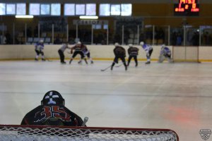 20.04.2022. Чемпионат Тюменской области по хоккею среди любительских команд 1 группа