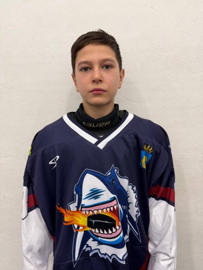 Алексеев  Михаил