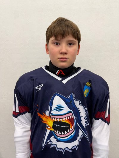 Оганесян  Арсен