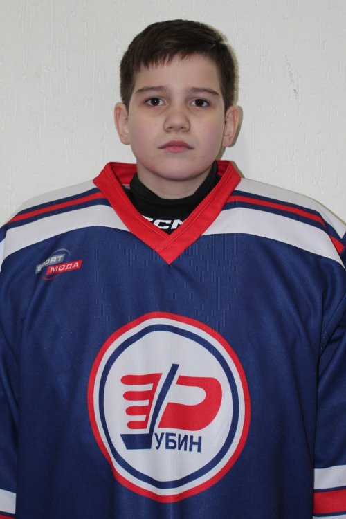 Стёпин  Лев