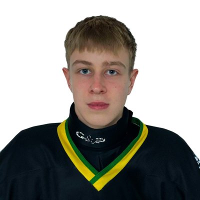 Рейсих  Артур  Владимирович