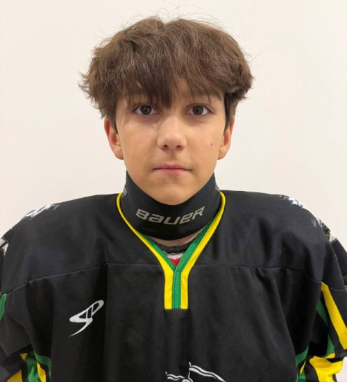 Хасанов  Эмиль  Равилевич