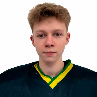 Романов  Платон  Сергеевич