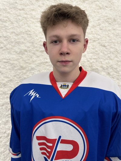 Романов  Платон  Сергеевич