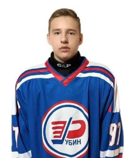 Губкин  Артем  Владимирович