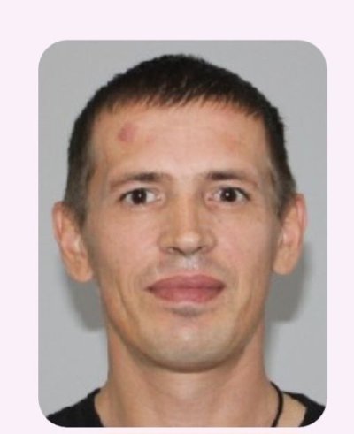 Вавилов  Вадим  Георгиевич