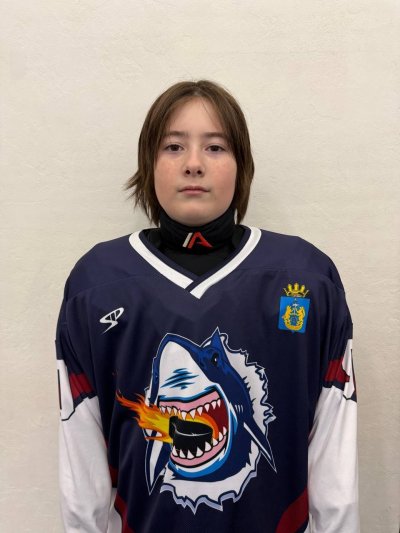 Павлинов  Никита  Сергеевич