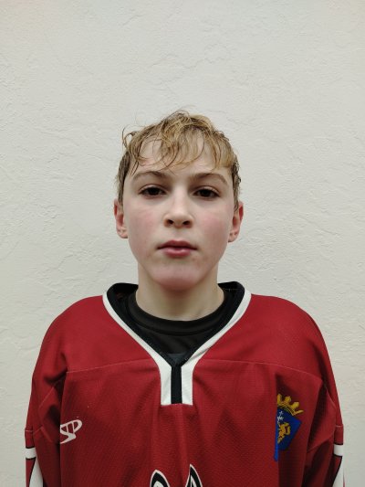 Имайкин  Дмитрий  Константинович