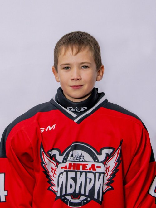 Гаврилов  Александр  Дмитриевич