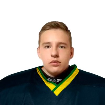 Губкин  Артём  Владимирович