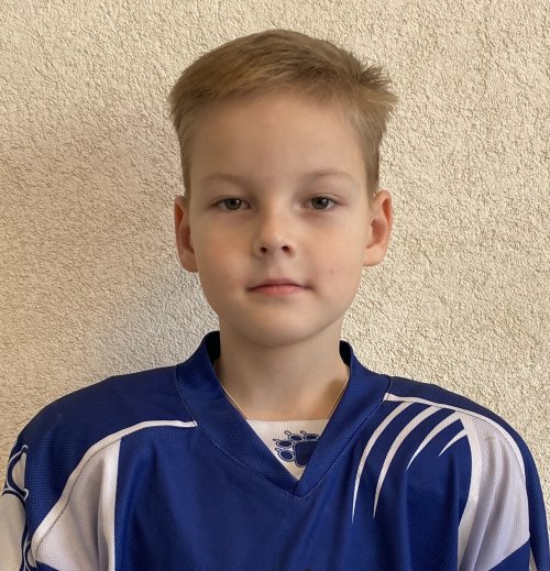 Воронов  Артемий  Владимирович