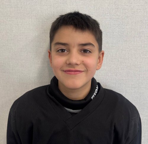 Добрых  Марк  Эдуардович