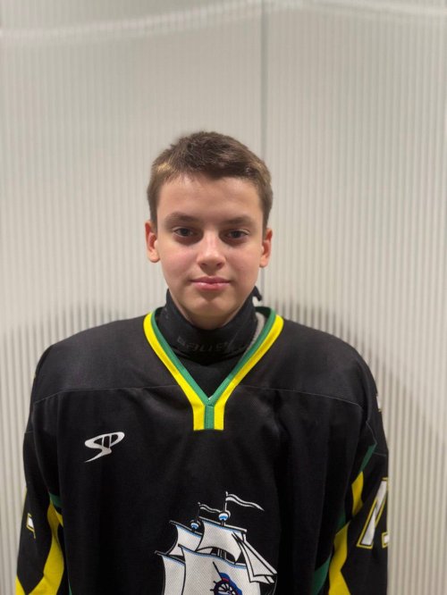 Кутлуев  Всеволод  Робертович