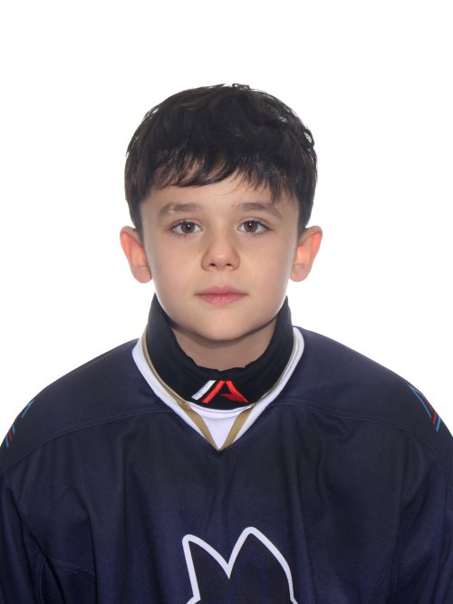 Соколов  Лев  Романович