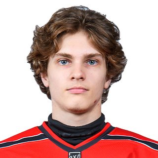 Бойков  Дмитрий  Алексеевич