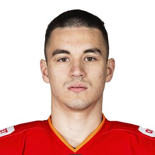 Молодцов  Даниил  Эдуардович