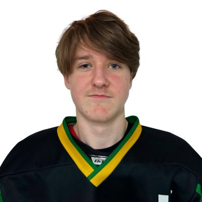 Кузьминов  Артём