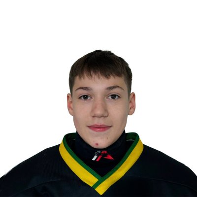 Золотухин  Илья