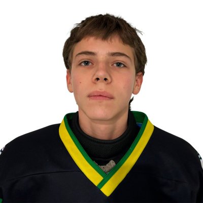 Петелин  Михаил