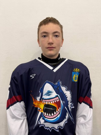 Александров  Арсений