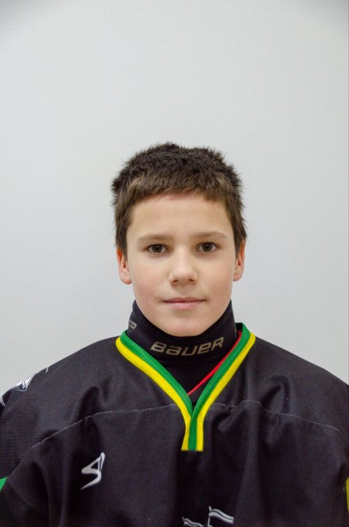 Брезицкий  Лев