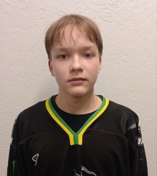 Воробьёв  Алексей