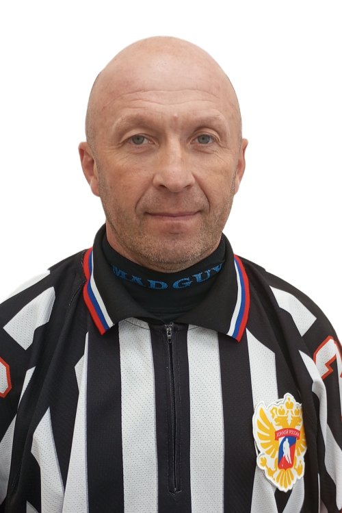 Судья Санников Владимир